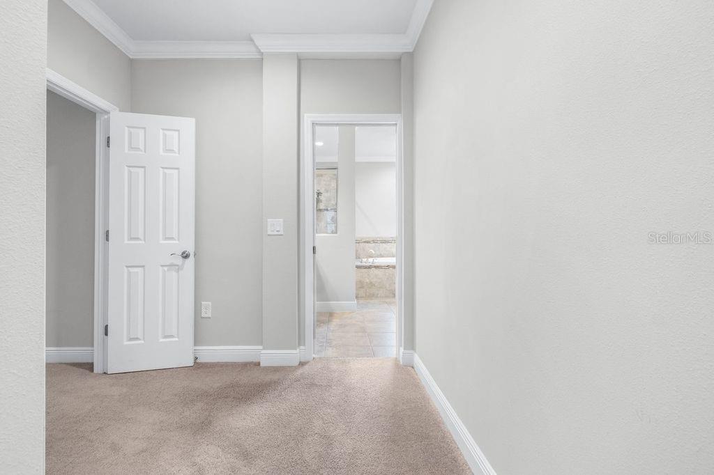 21675 AMELIA ROSE WAY, LAND O LAKES, FL, 34637