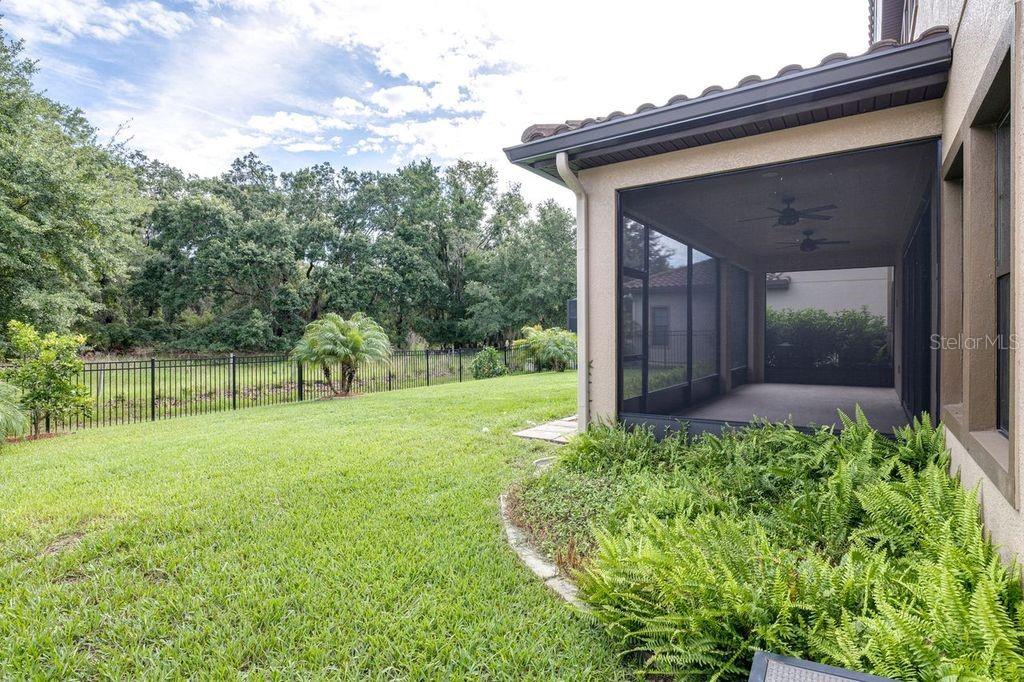 21675 AMELIA ROSE WAY, LAND O LAKES, FL, 34637