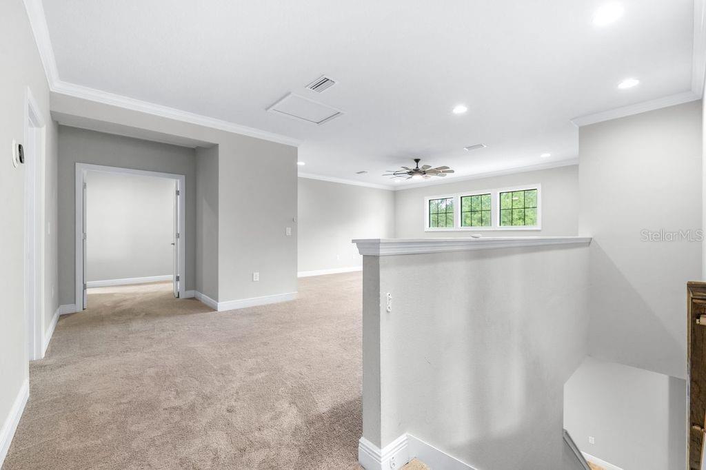 21675 AMELIA ROSE WAY, LAND O LAKES, FL, 34637