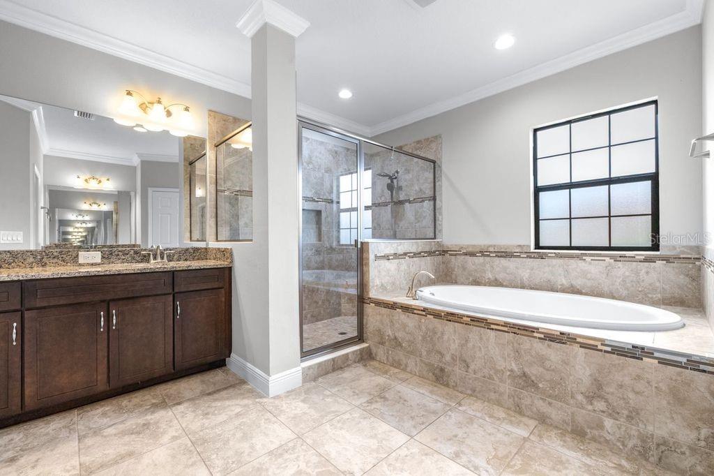 21675 AMELIA ROSE WAY, LAND O LAKES, FL, 34637