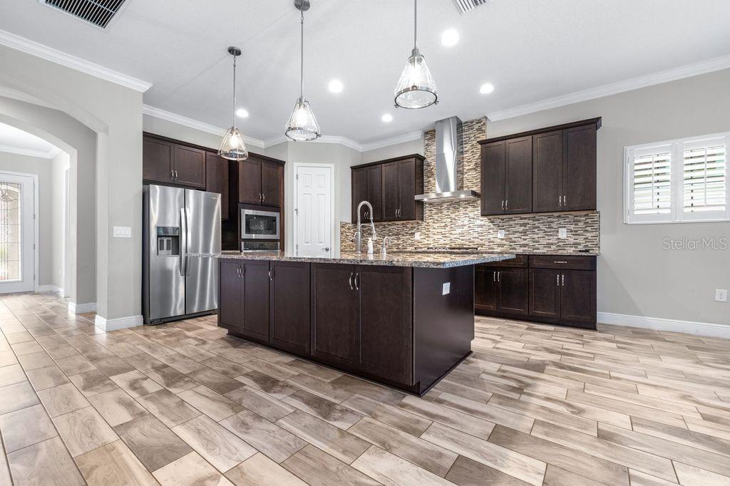 21675 AMELIA ROSE WAY, LAND O LAKES, FL, 34637