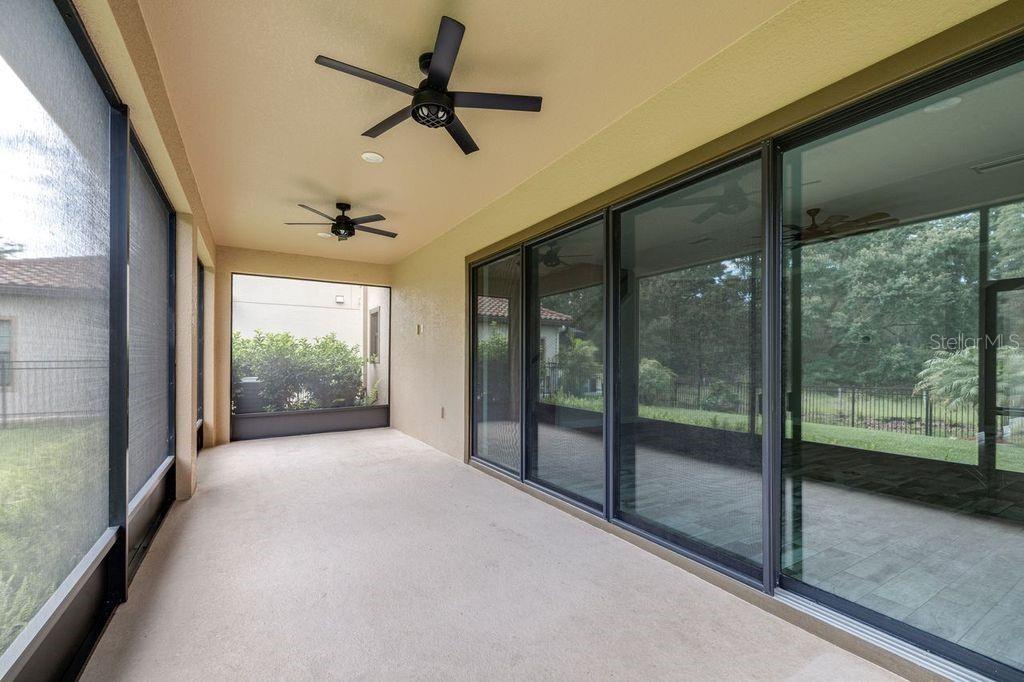 21675 AMELIA ROSE WAY, LAND O LAKES, FL, 34637