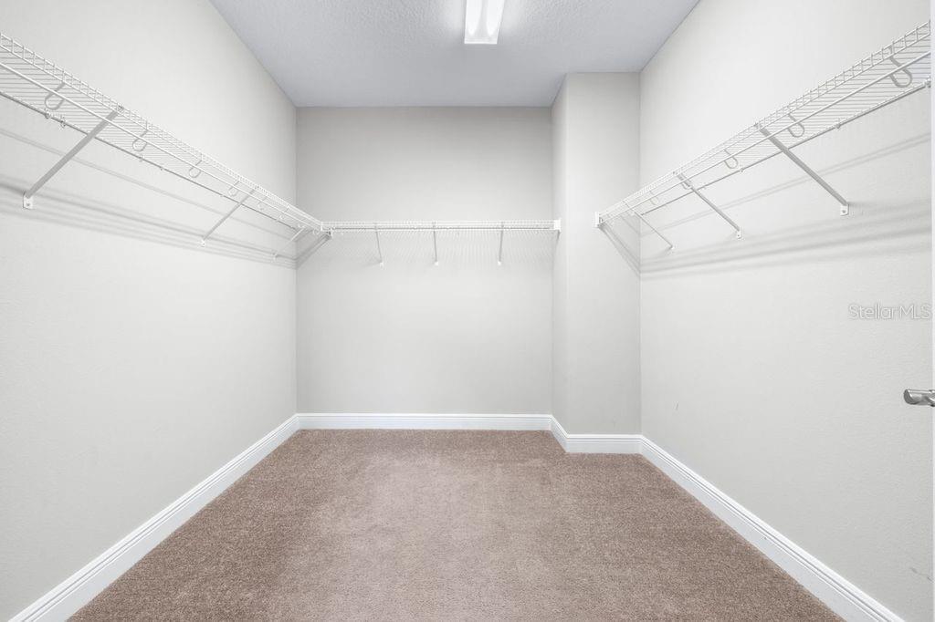 21675 AMELIA ROSE WAY, LAND O LAKES, FL, 34637