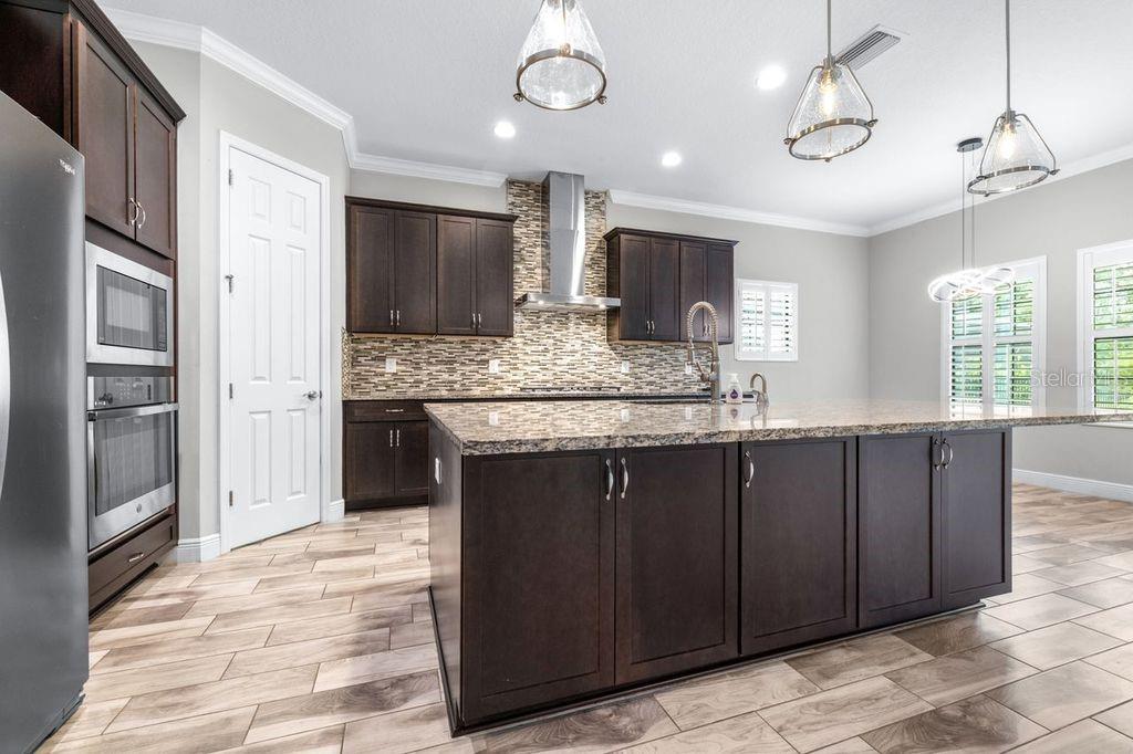 21675 AMELIA ROSE WAY, LAND O LAKES, FL, 34637