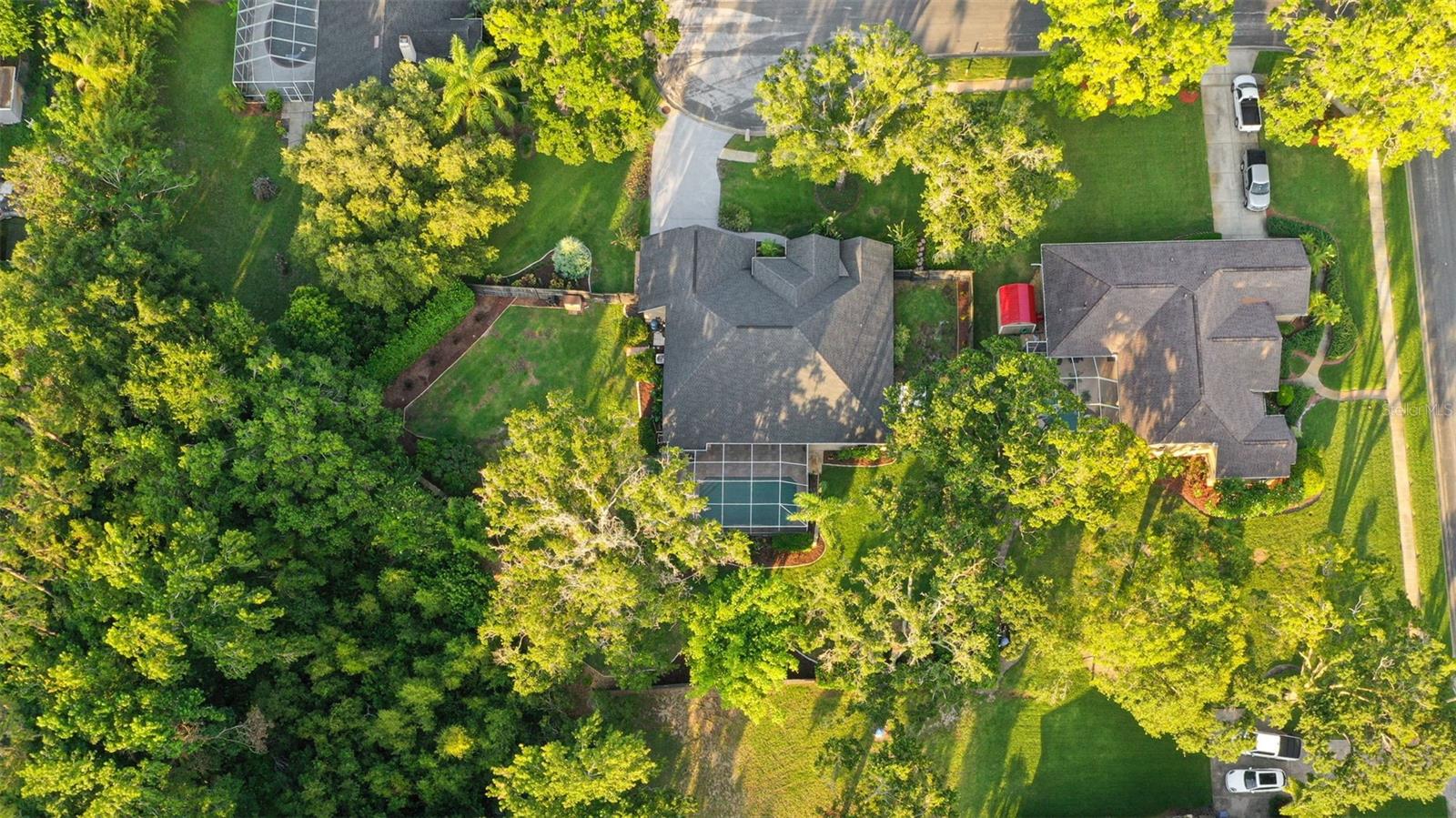 803 BROOKER VILLAGE CIR, LUTZ, FL, 33548