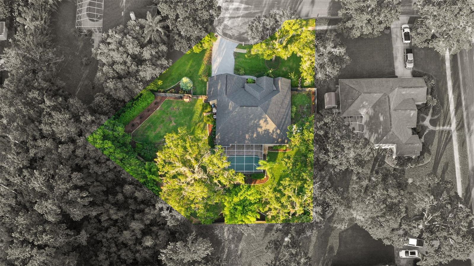 803 BROOKER VILLAGE CIR, LUTZ, FL, 33548