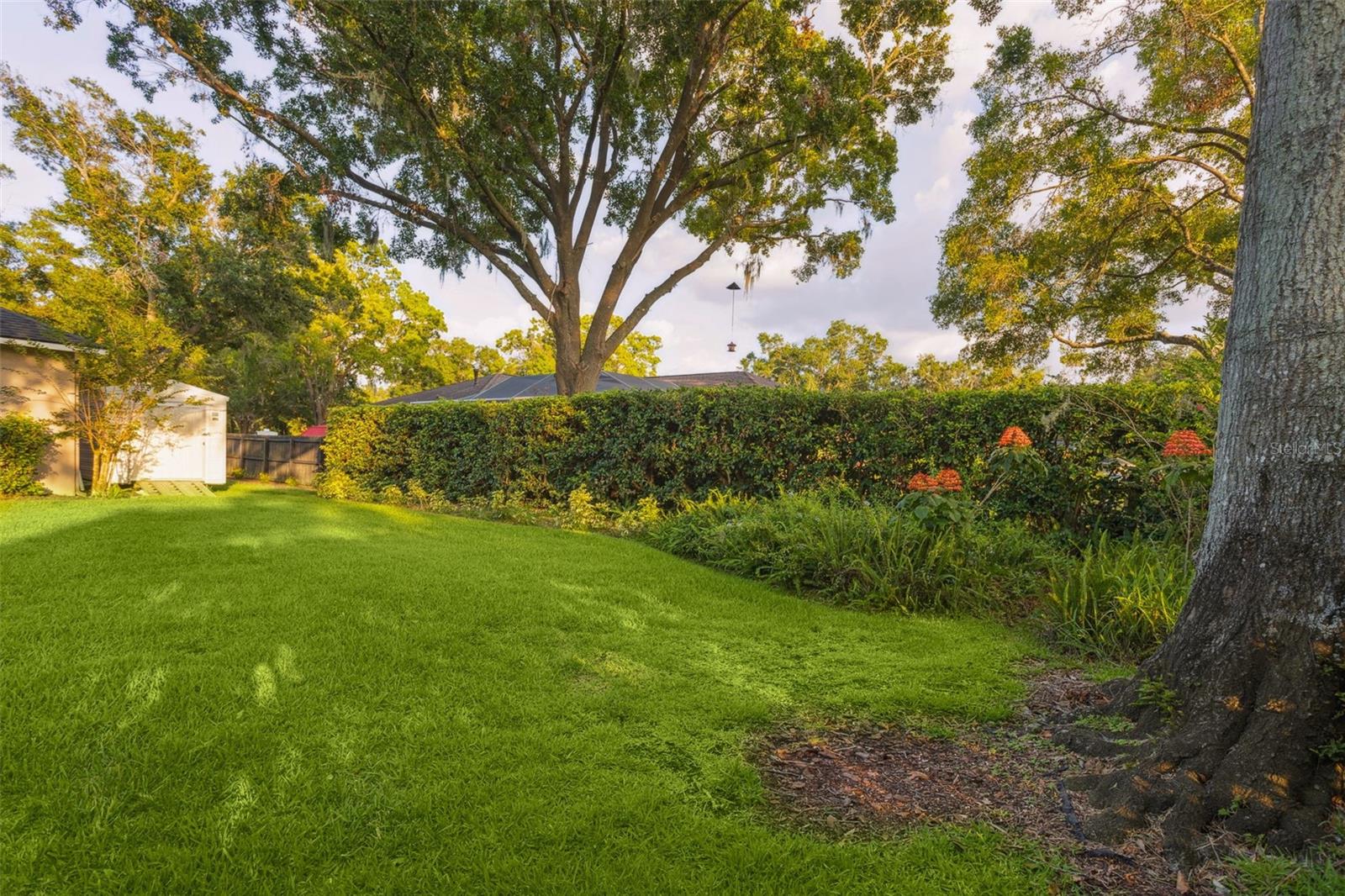 803 BROOKER VILLAGE CIR, LUTZ, FL, 33548