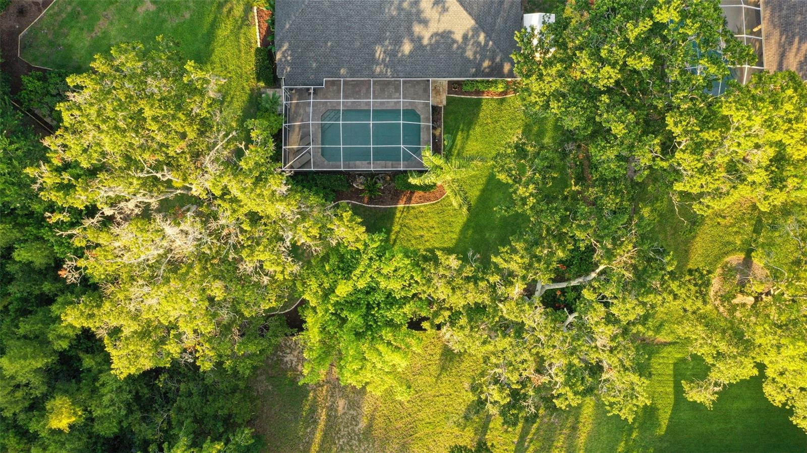 803 BROOKER VILLAGE CIR, LUTZ, FL, 33548