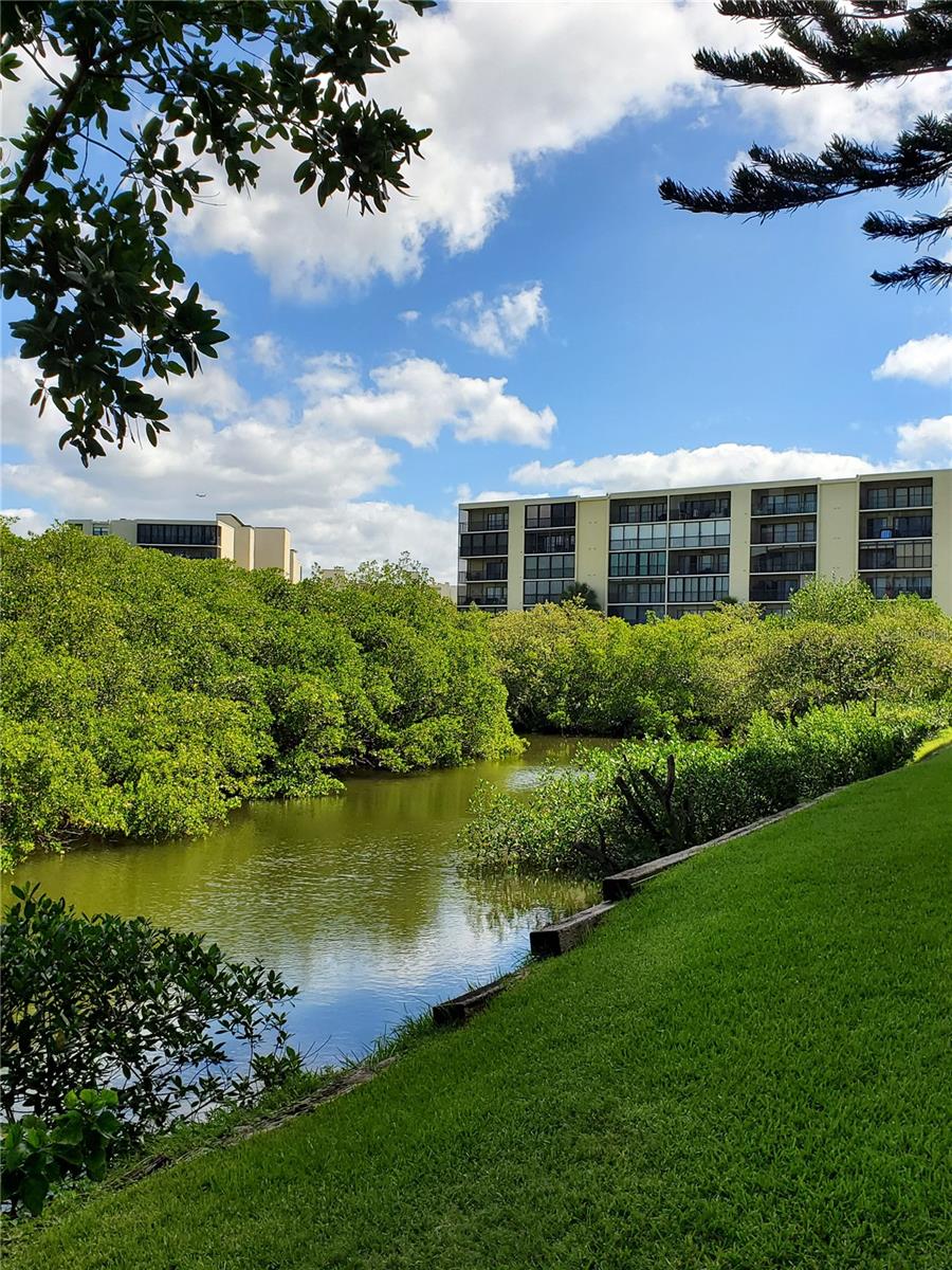 900 COVE CAY DR #1B, CLEARWATER, FL, 33760