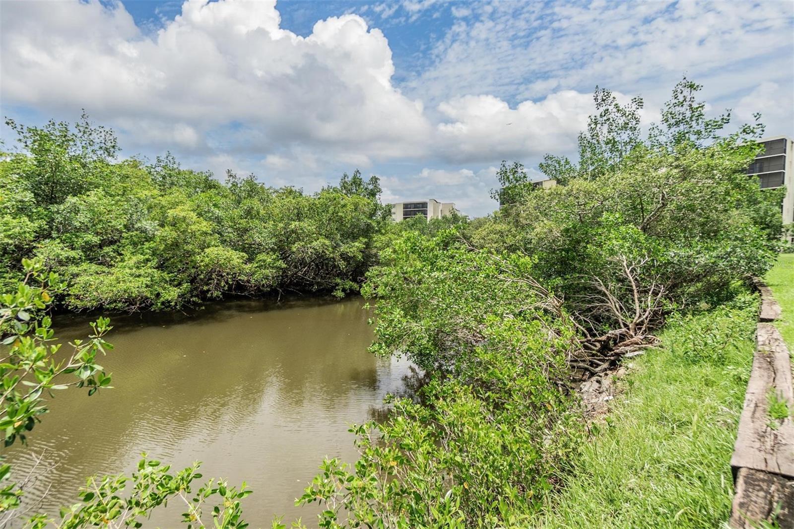 900 COVE CAY DR #1B, CLEARWATER, FL, 33760