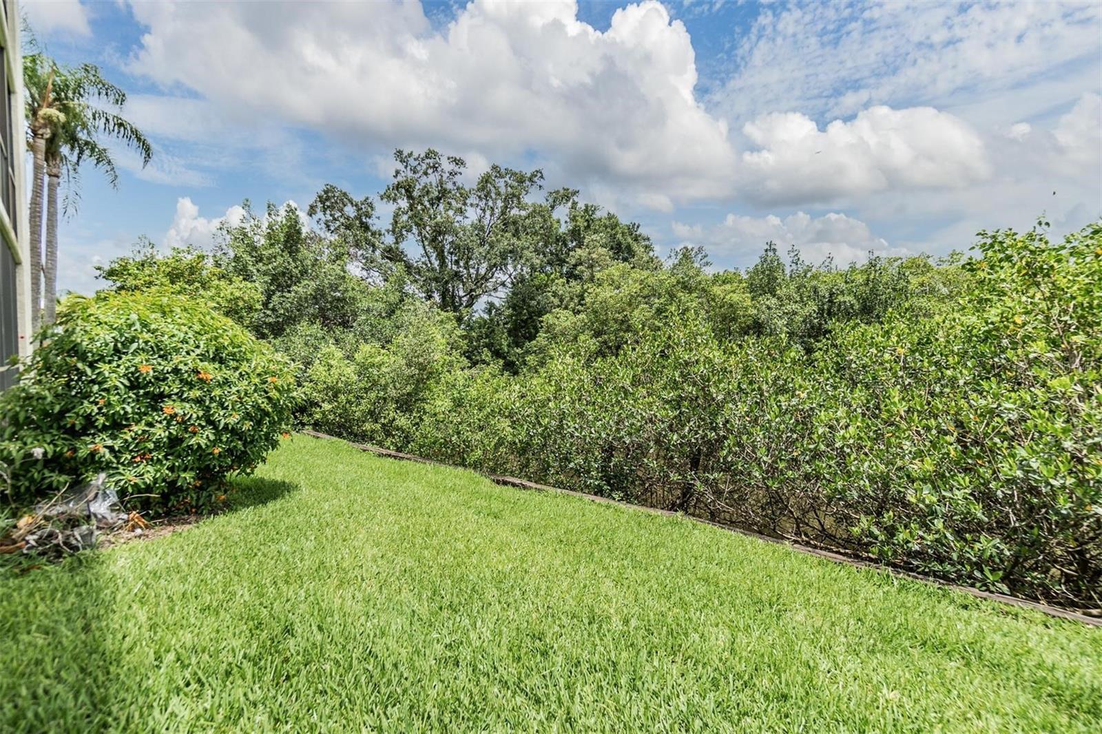 900 COVE CAY DR #1B, CLEARWATER, FL, 33760