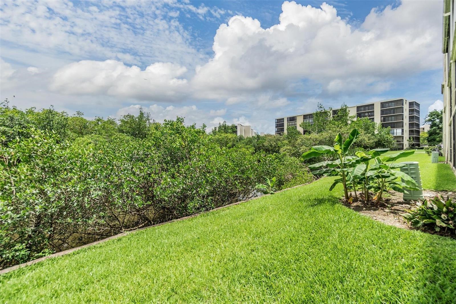 900 COVE CAY DR #1B, CLEARWATER, FL, 33760