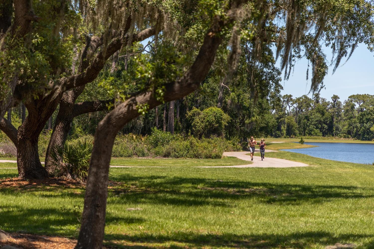 4026 BONFIRE DR, ODESSA, FL, 33556