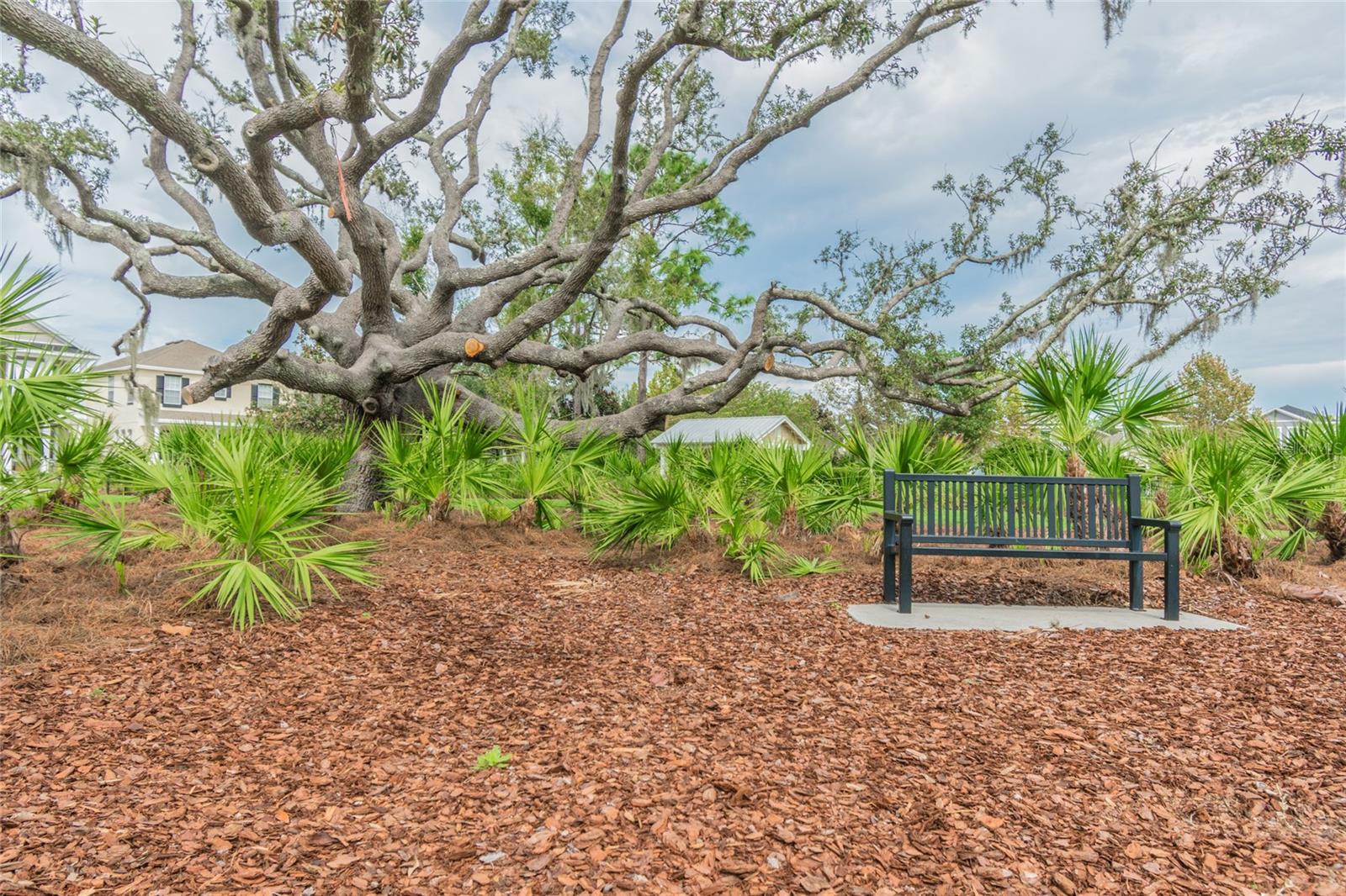 3450 FERRELL ST, NEW PORT RICHEY, FL, 34655