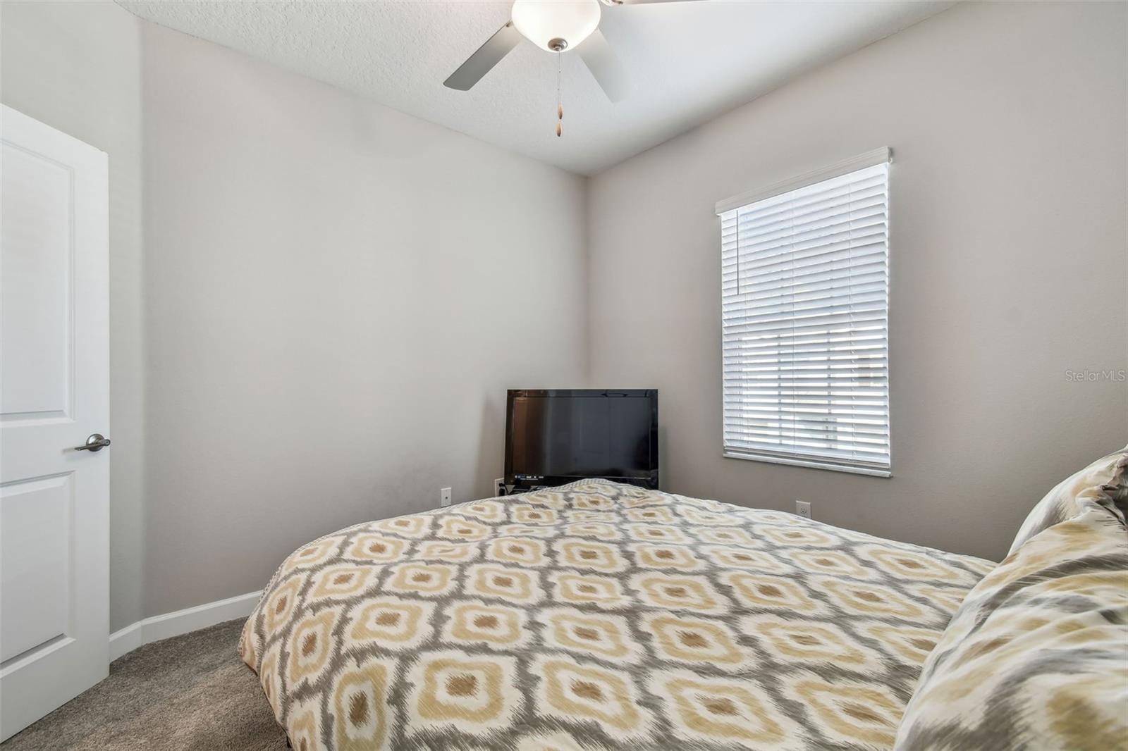 6825 CITRUS CREEK LN, TAMPA, FL, 33625