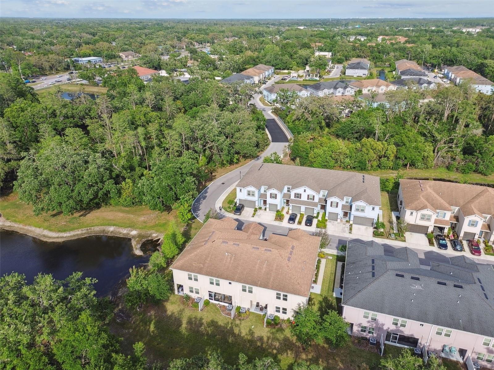 6825 CITRUS CREEK LN, TAMPA, FL, 33625