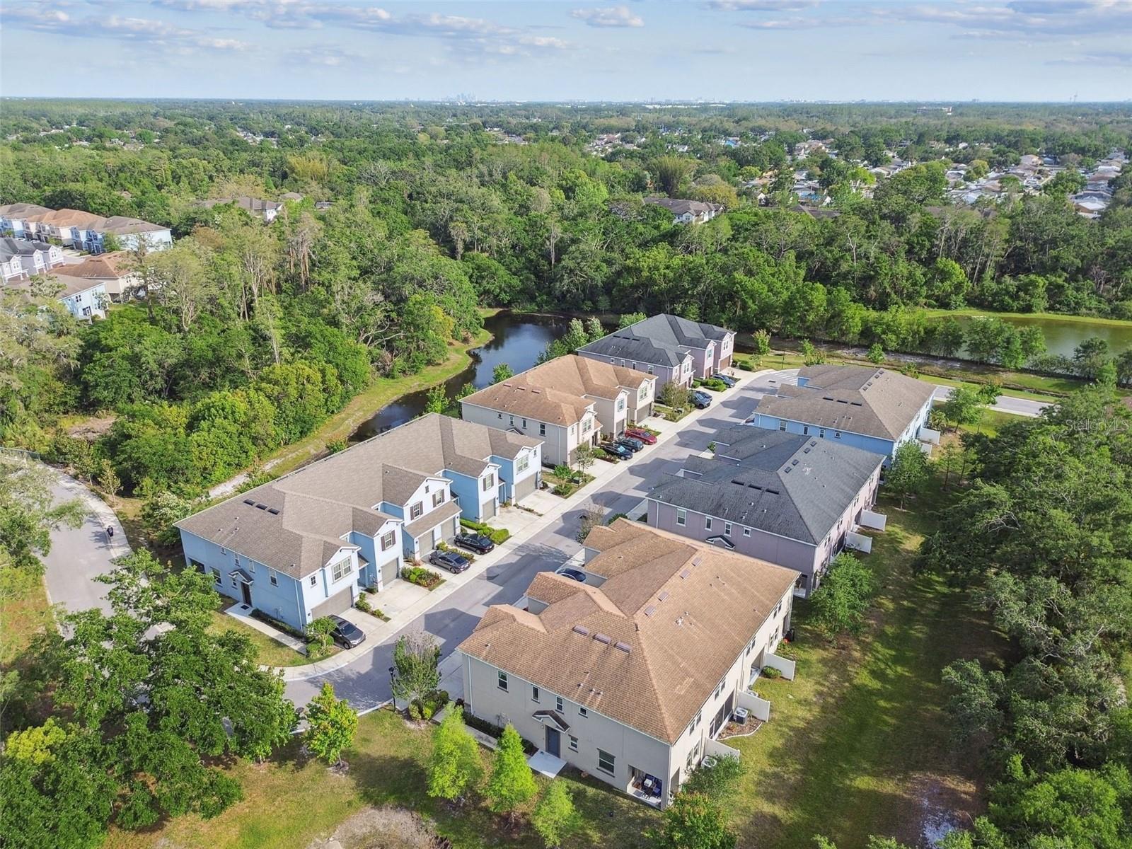 6825 CITRUS CREEK LN, TAMPA, FL, 33625