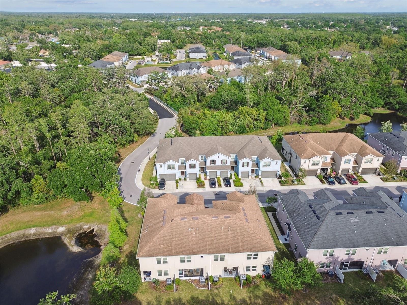 6825 CITRUS CREEK LN, TAMPA, FL, 33625