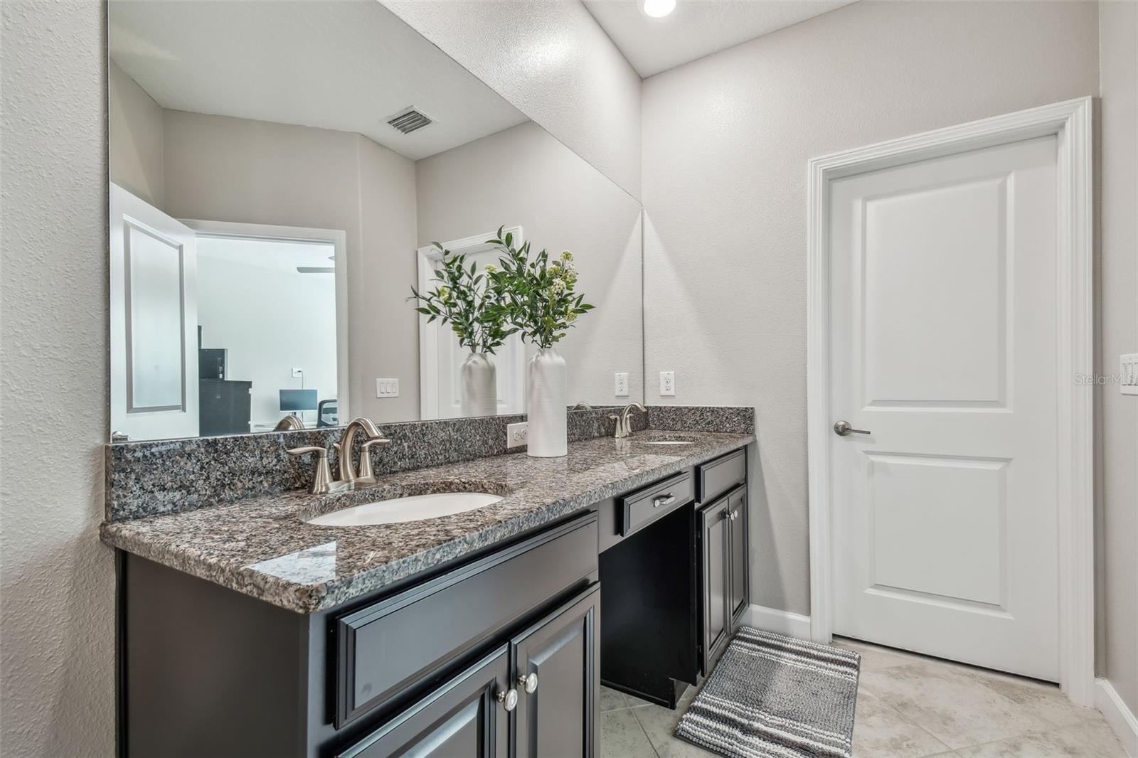 6825 CITRUS CREEK LN, TAMPA, FL, 33625