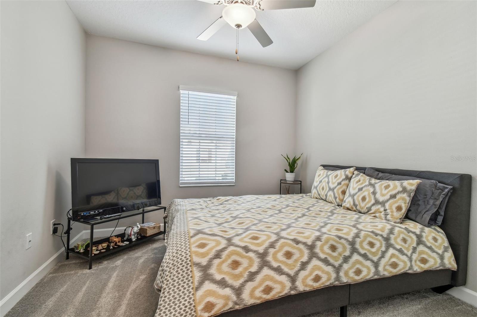 6825 CITRUS CREEK LN, TAMPA, FL, 33625