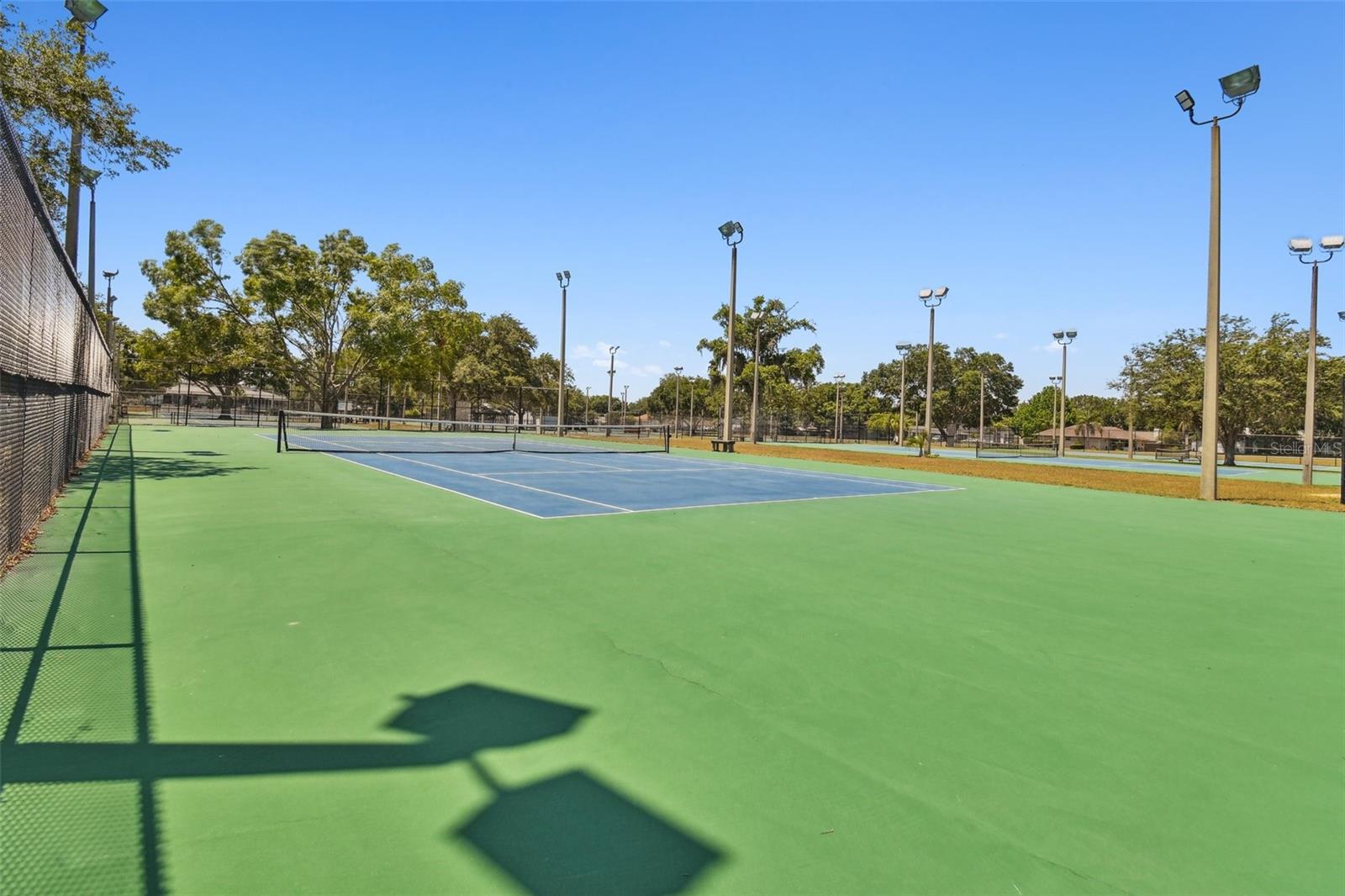 23325 CLUB VILLAS DR #2, LAND O LAKES, FL, 34639