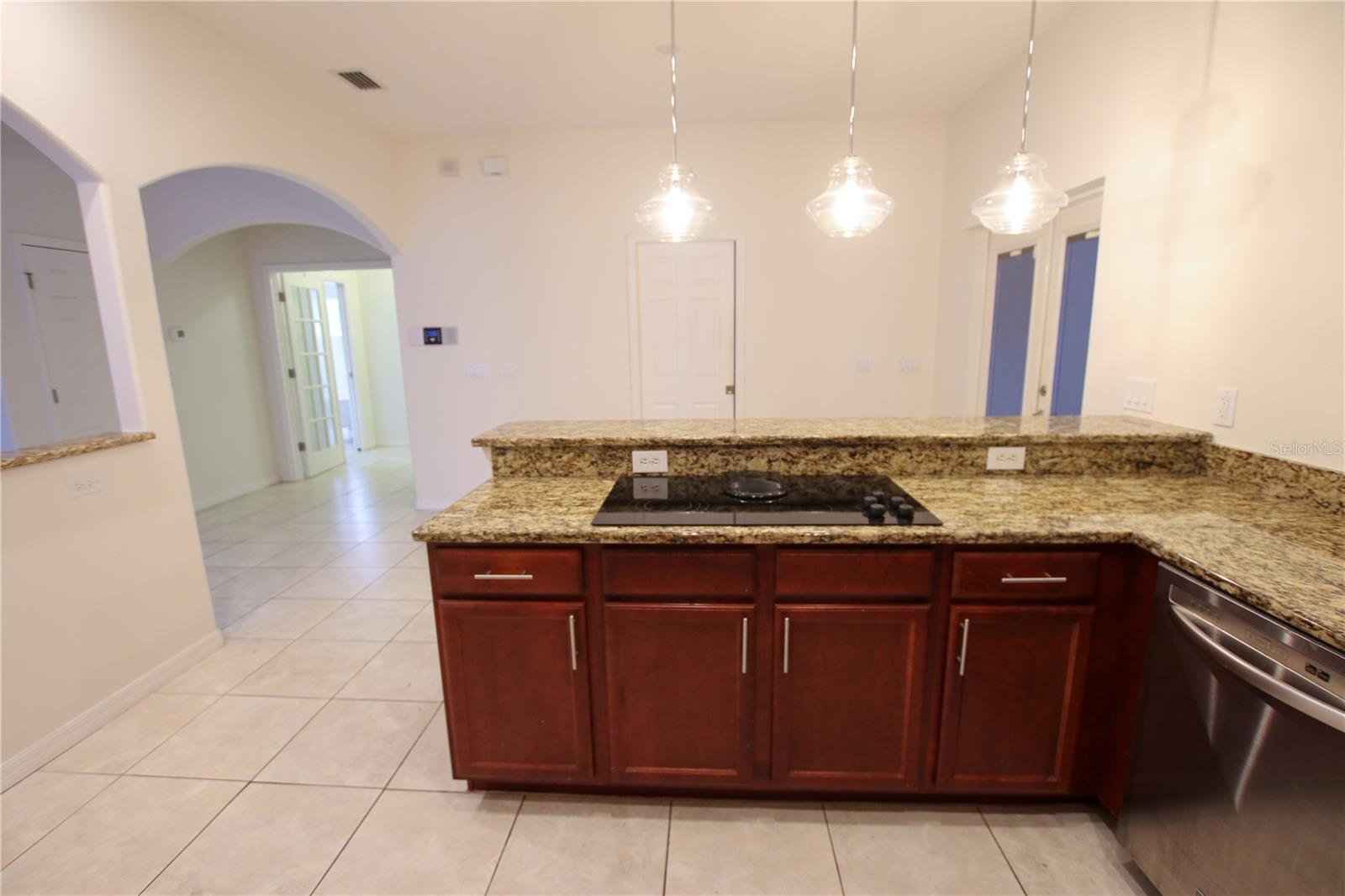 1002 W LEMON ST, TAMPA, FL, 33606