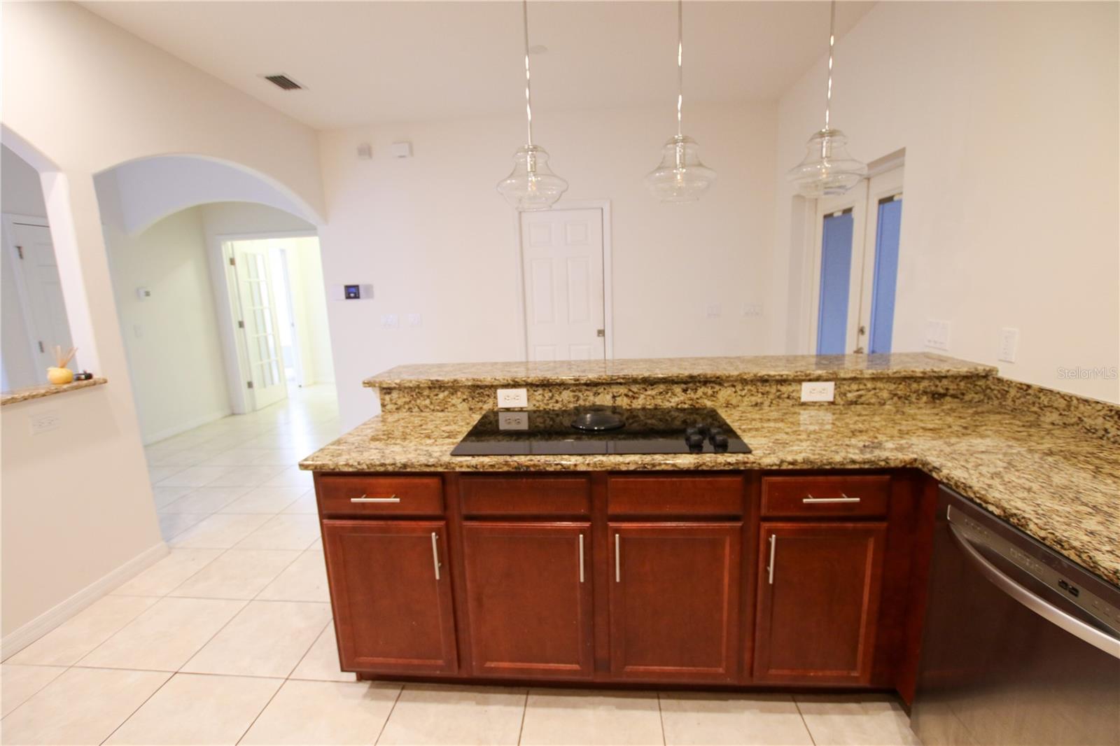 1002 W LEMON ST, TAMPA, FL, 33606