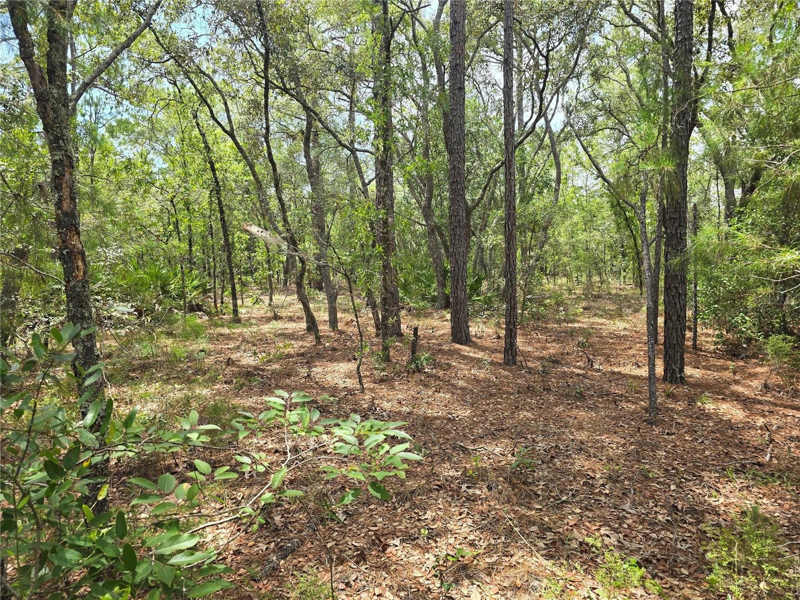 6468 N BAYLOR TER, DUNNELLON, FL, 34433