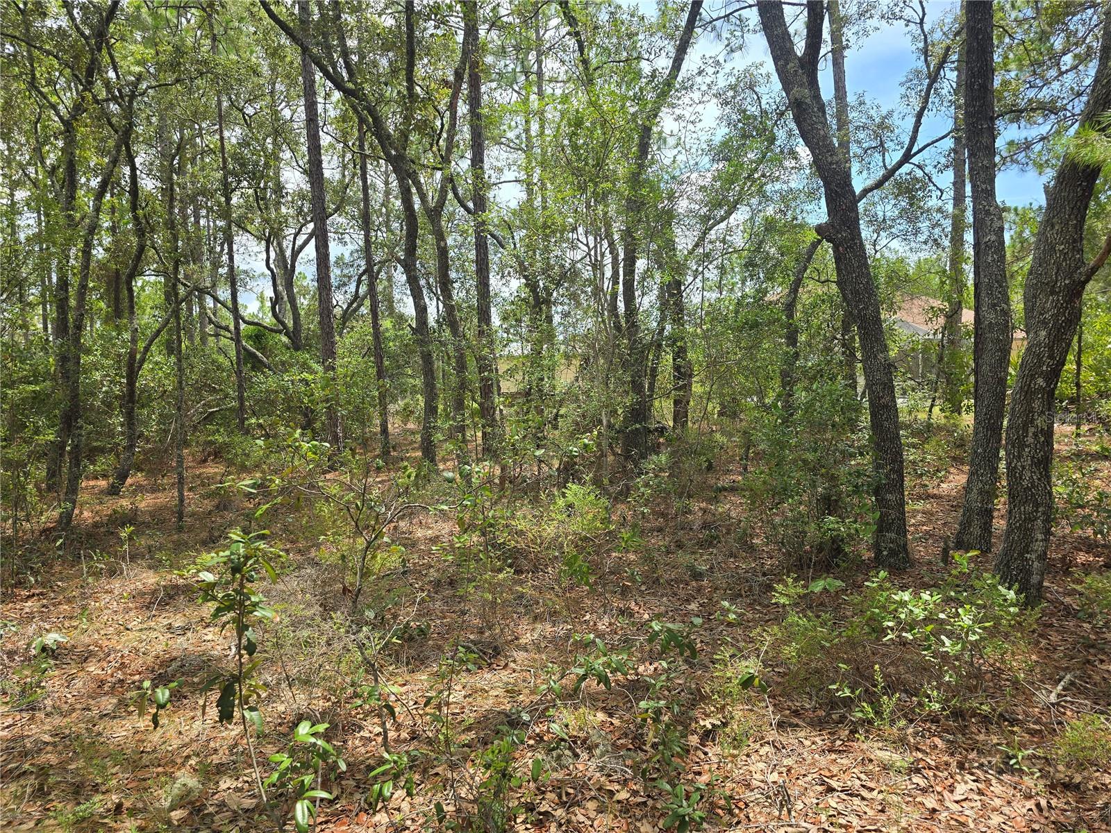 6468 N BAYLOR TER, DUNNELLON, FL, 34433