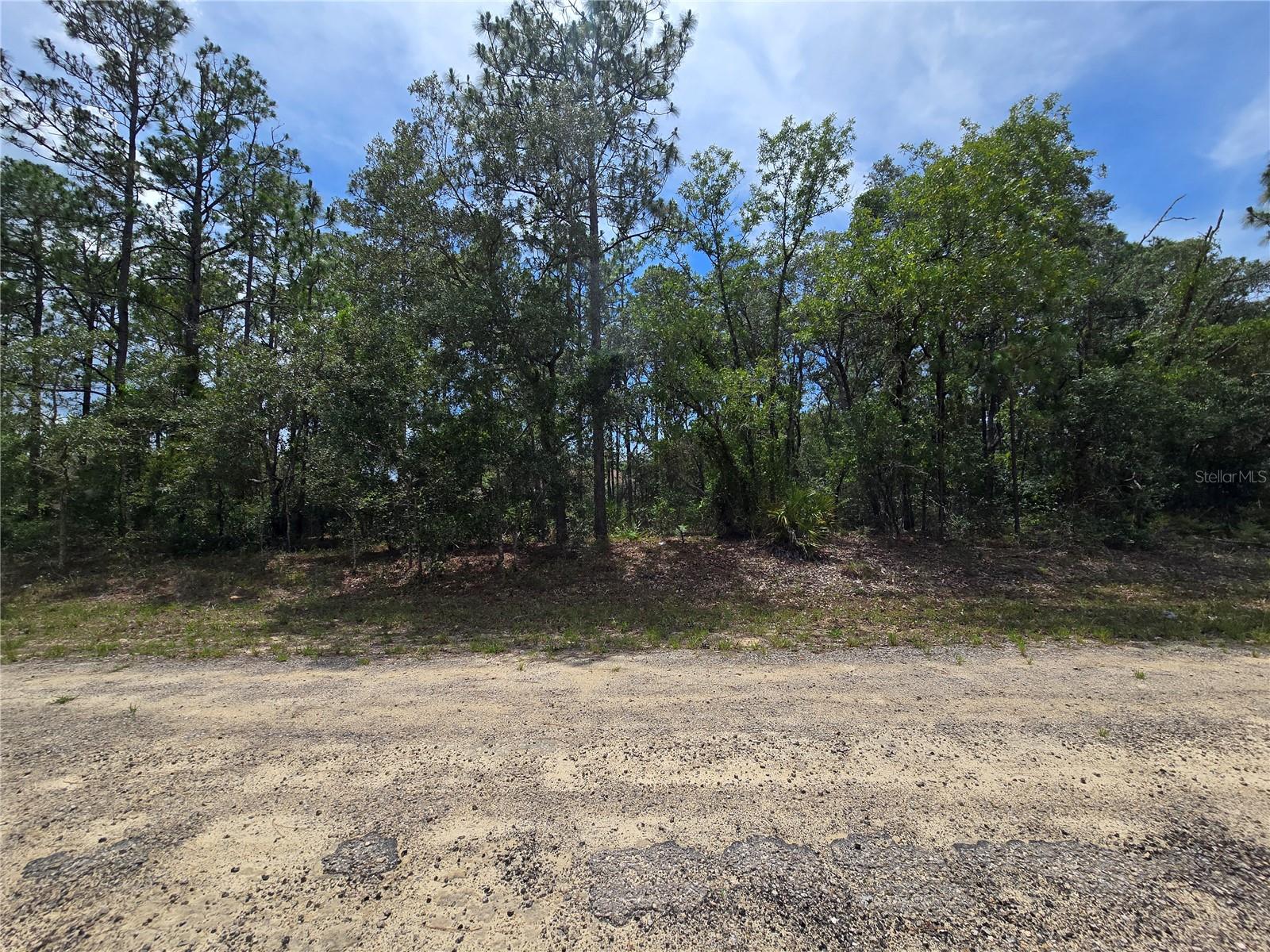 6468 N BAYLOR TER, DUNNELLON, FL, 34433