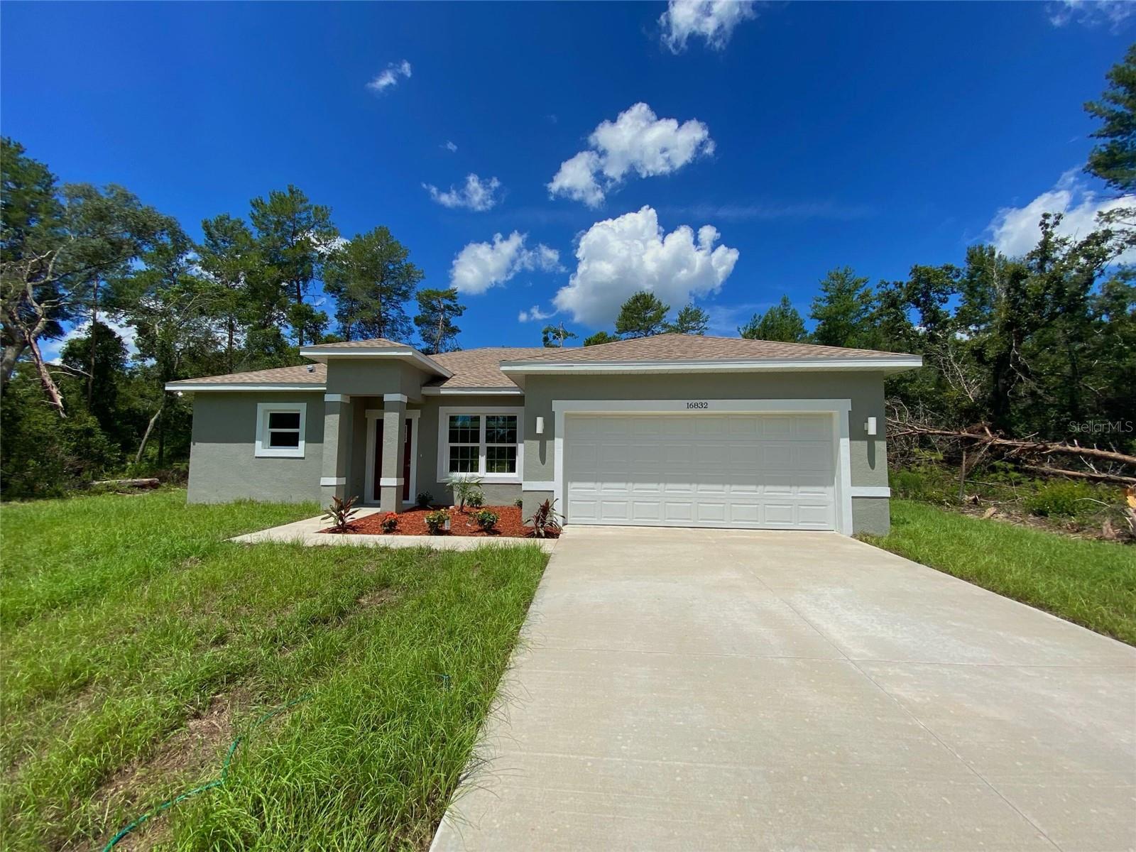16832 SW 41ST AVENUE RD, OCALA, FL, 34473