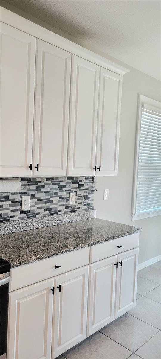 18558 CORTES CREEK BLVD, SPRING HILL, FL, 34610