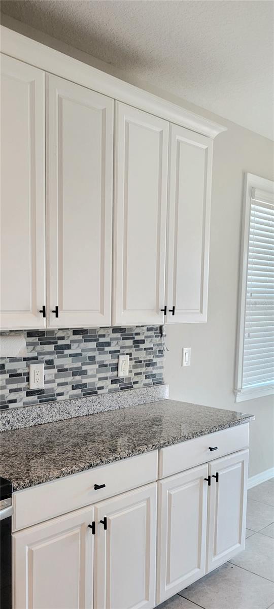 18558 CORTES CREEK BLVD, SPRING HILL, FL, 34610