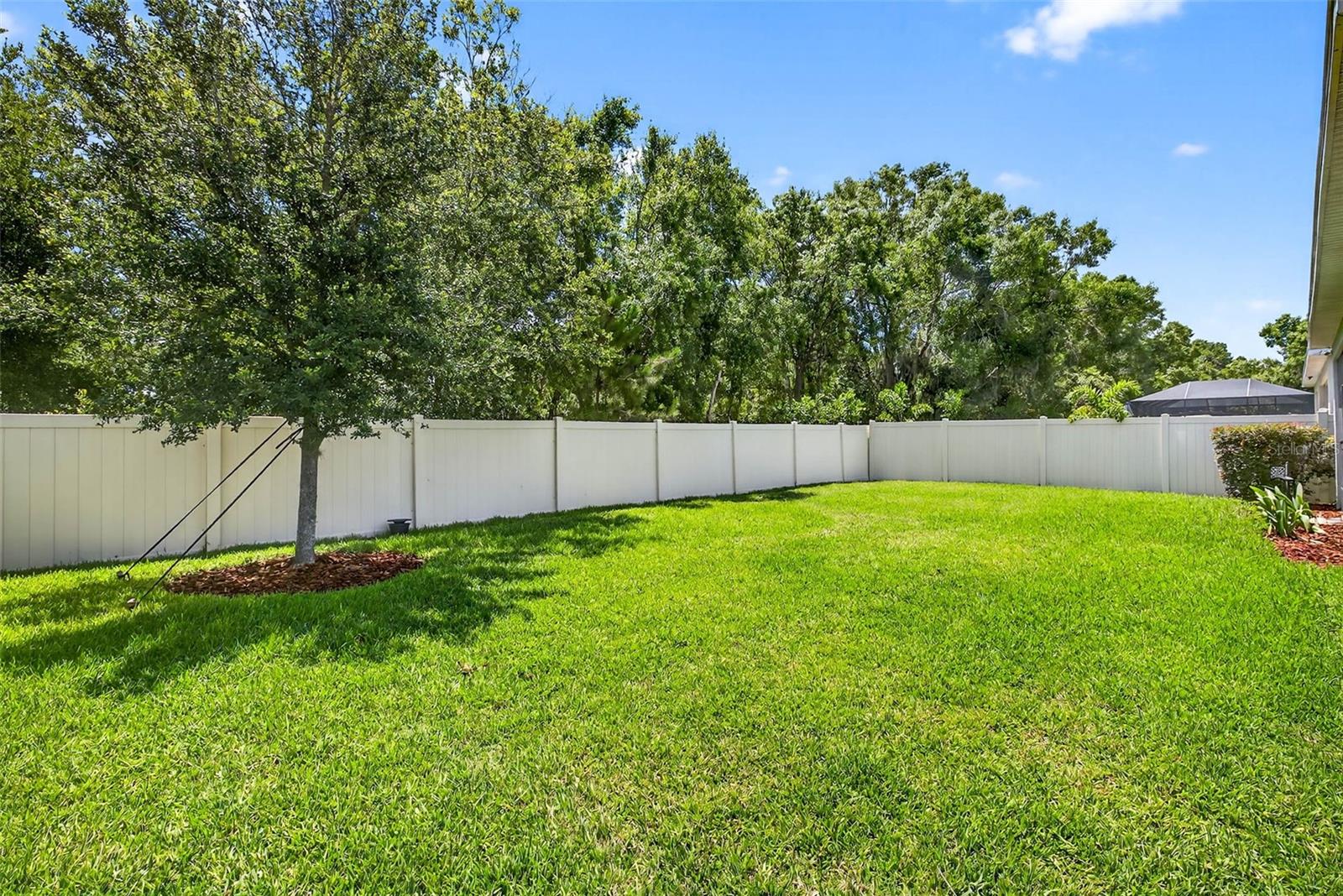17651 BRIGHT WHEAT DR, LITHIA, FL, 33547