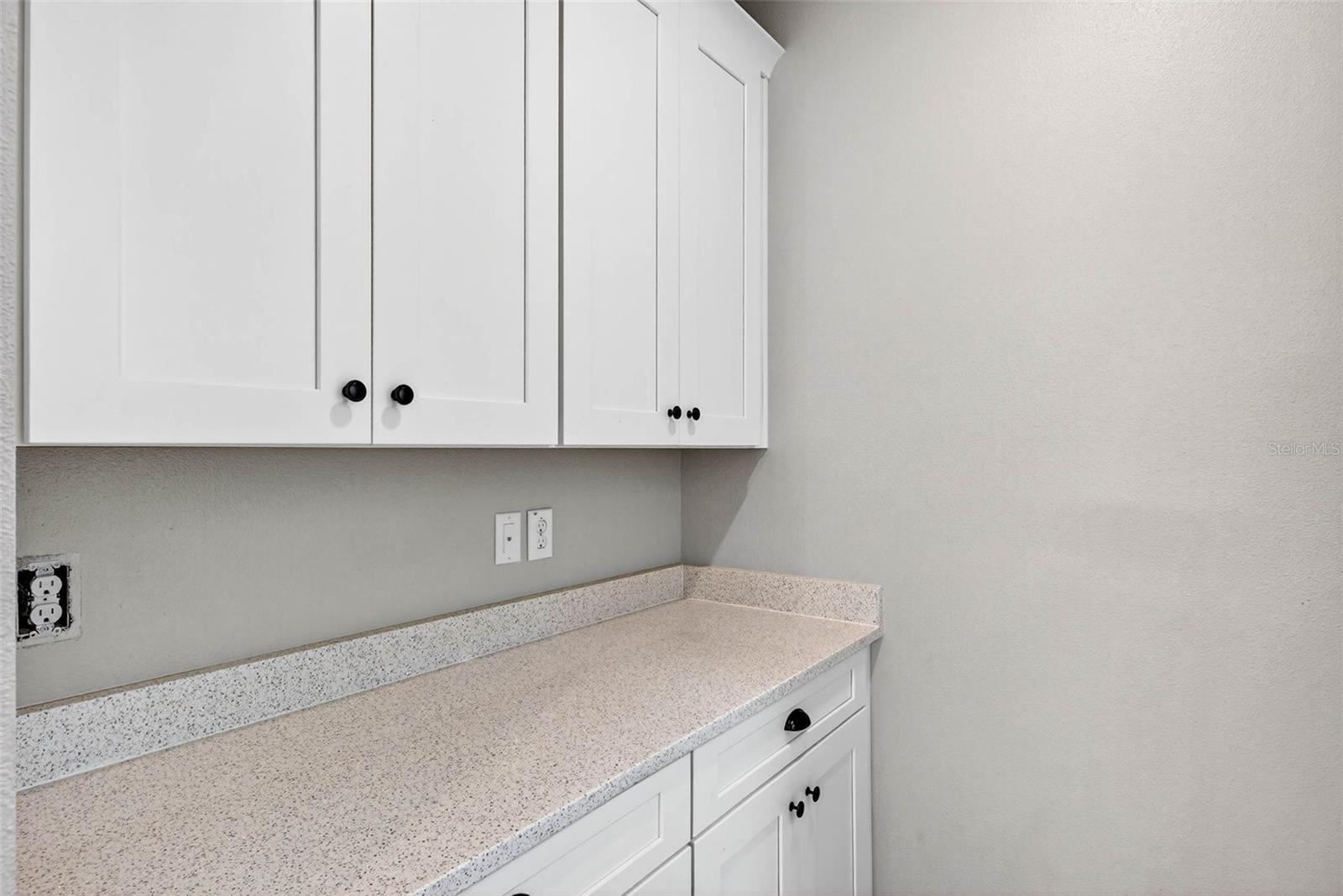 17651 BRIGHT WHEAT DR, LITHIA, FL, 33547