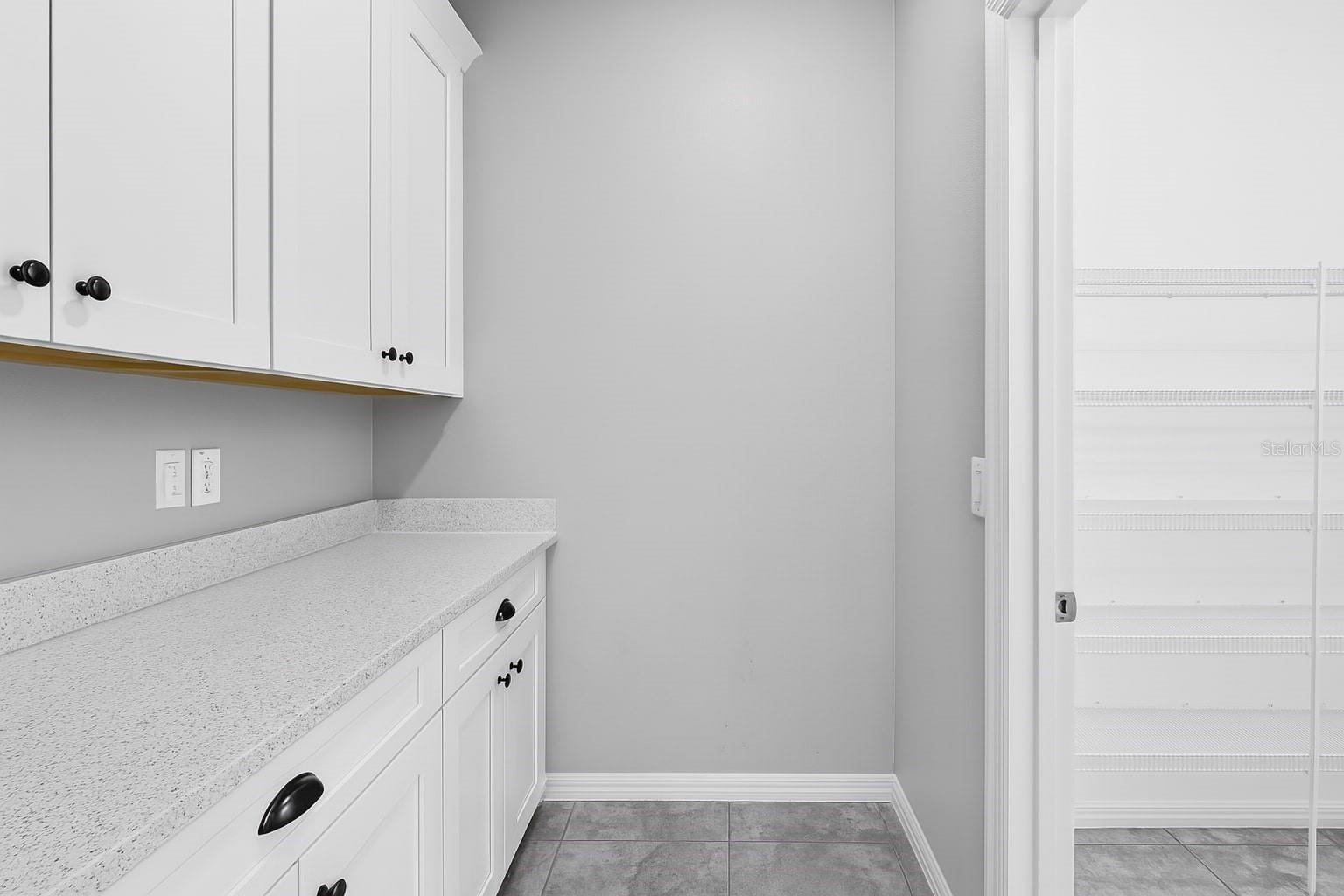 17651 BRIGHT WHEAT DR, LITHIA, FL, 33547