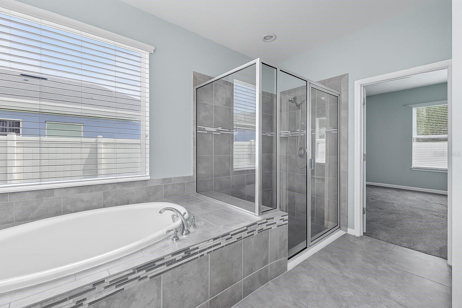 17651 BRIGHT WHEAT DR, LITHIA, FL, 33547