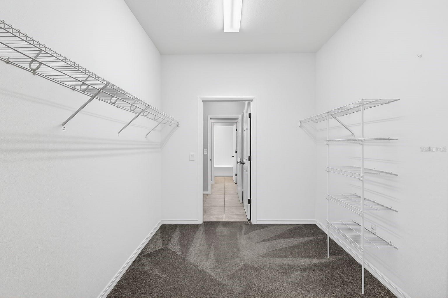 17651 BRIGHT WHEAT DR, LITHIA, FL, 33547