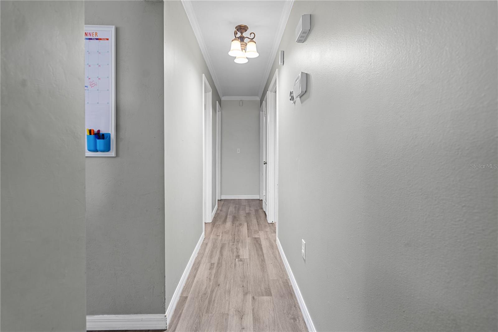 16490 NE 25TH LN, WILLISTON, FL, 32696