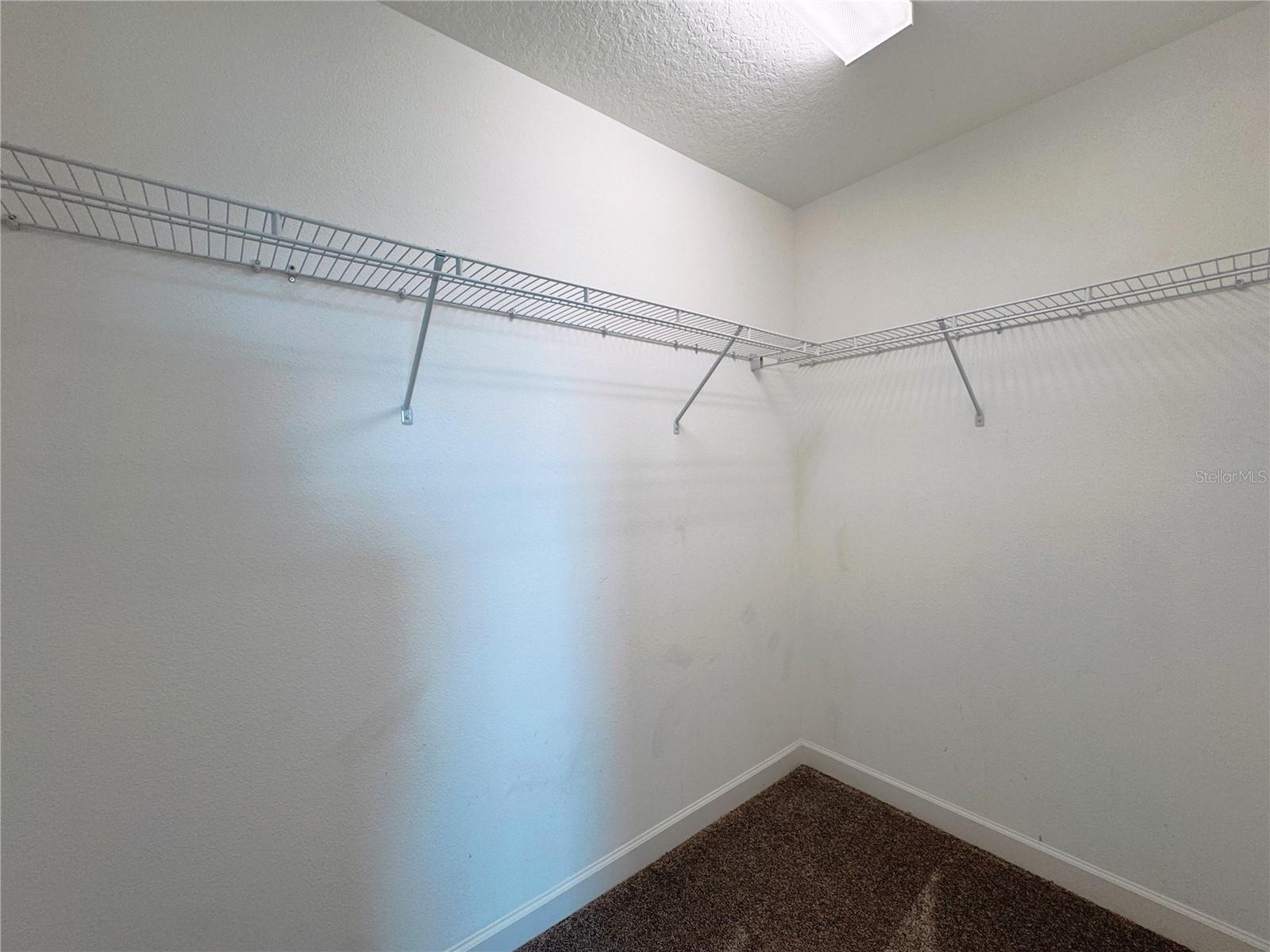 11070 LONGLEAF WOODS DR, ORLANDO, FL, 32832