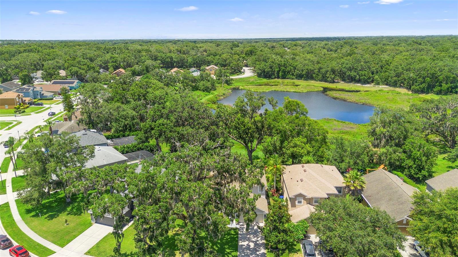 1785 RUSHDEN DR, OCOEE, FL, 34761