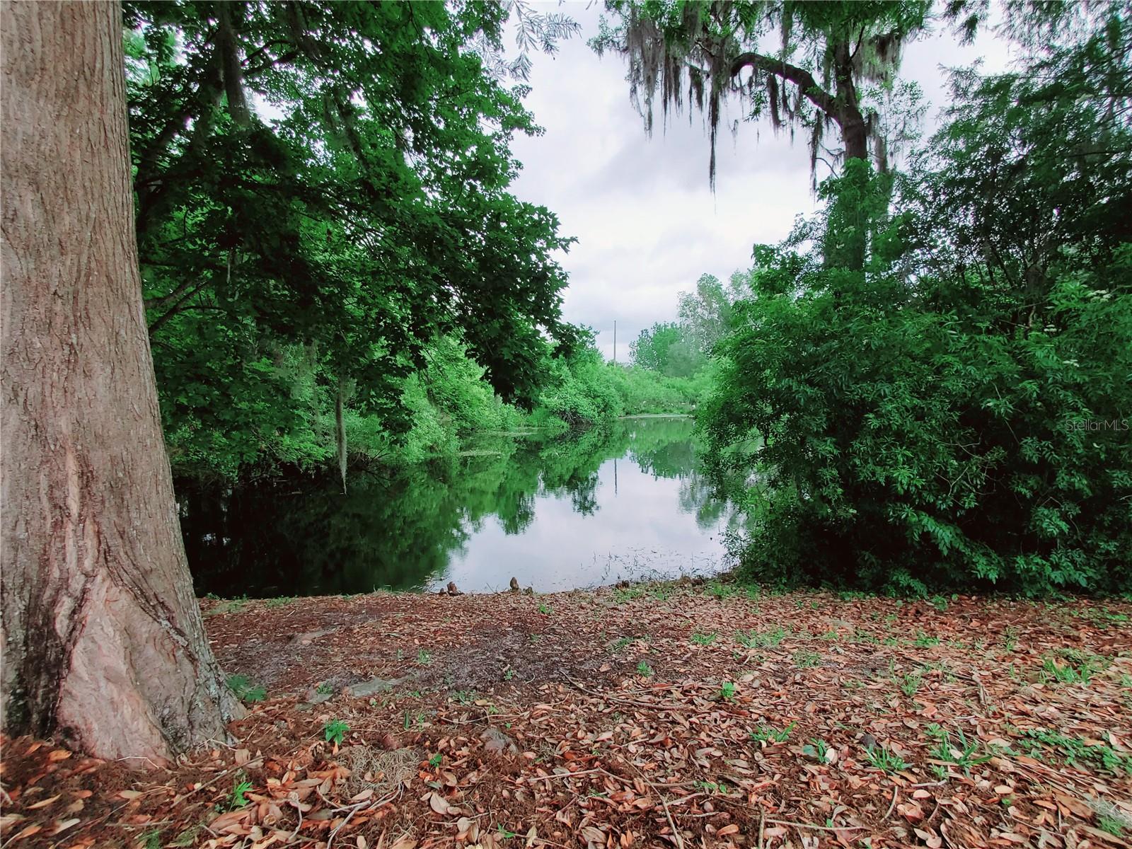 2360 SW ARCHER RD #211, GAINESVILLE, FL, 32608