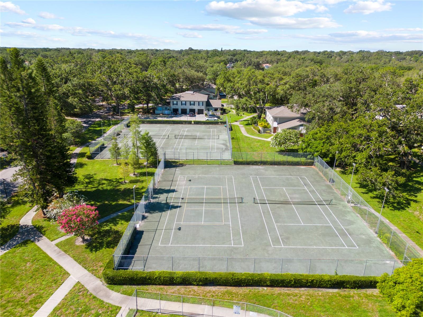 11799 RAINTREE DR, TEMPLE TERRACE, FL, 33617