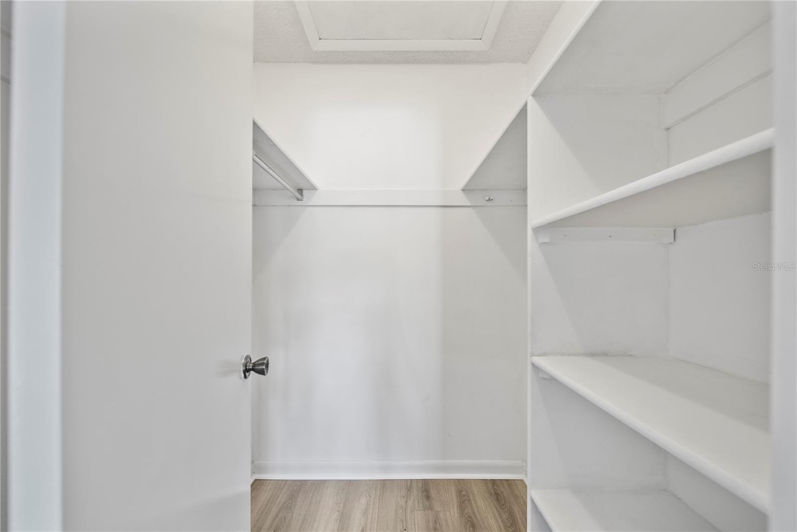 11799 RAINTREE DR, TEMPLE TERRACE, FL, 33617