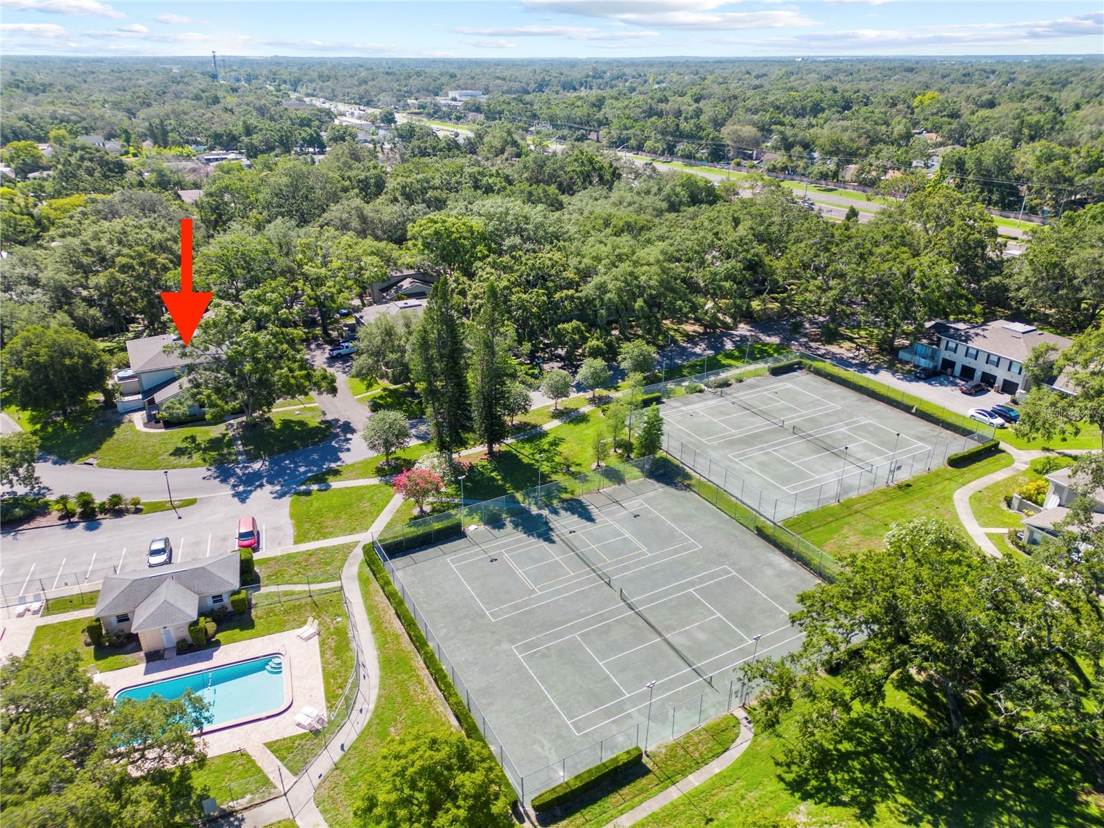 11799 RAINTREE DR, TEMPLE TERRACE, FL, 33617