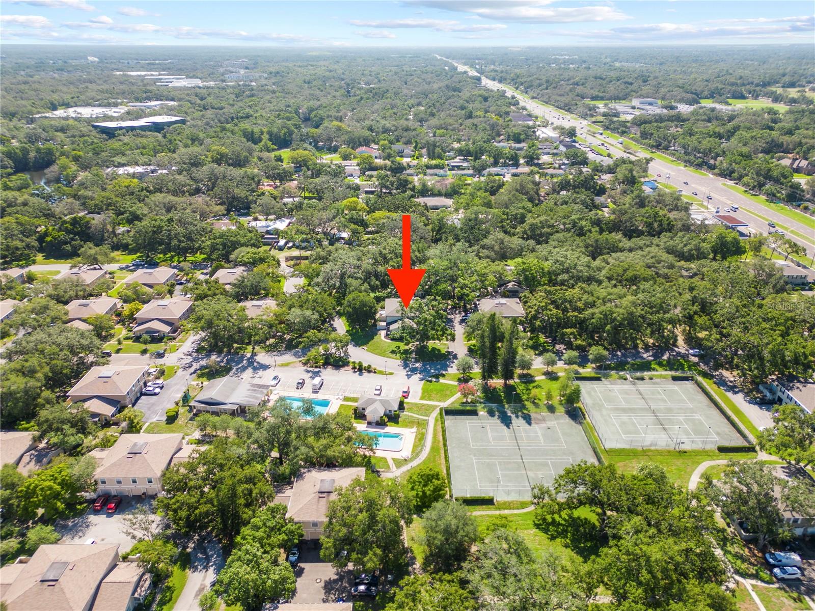 11799 RAINTREE DR, TEMPLE TERRACE, FL, 33617