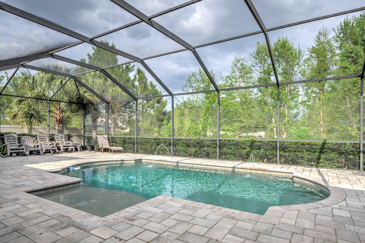 3603 ARBOR CHASE DR, PALM HARBOR, FL, 34683