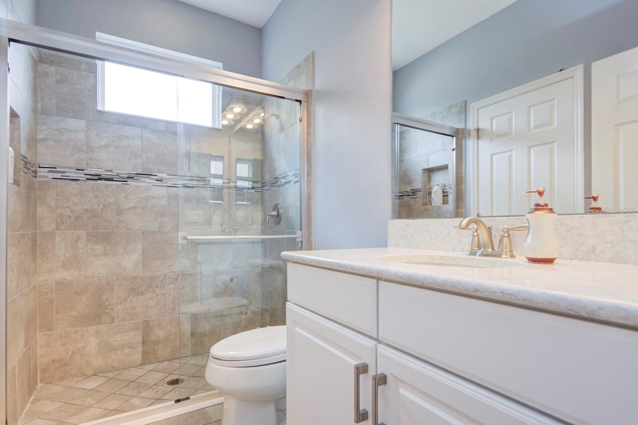 3603 ARBOR CHASE DR, PALM HARBOR, FL, 34683