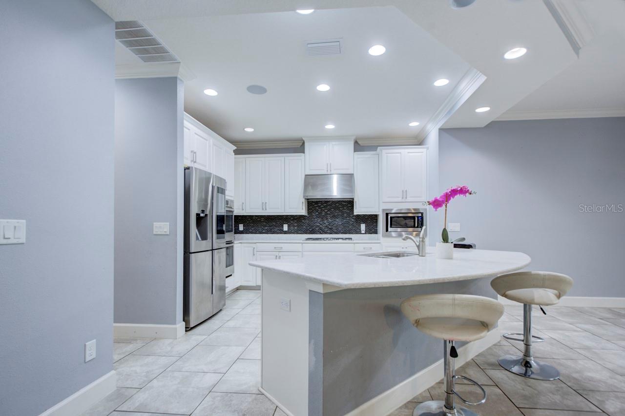 3603 ARBOR CHASE DR, PALM HARBOR, FL, 34683