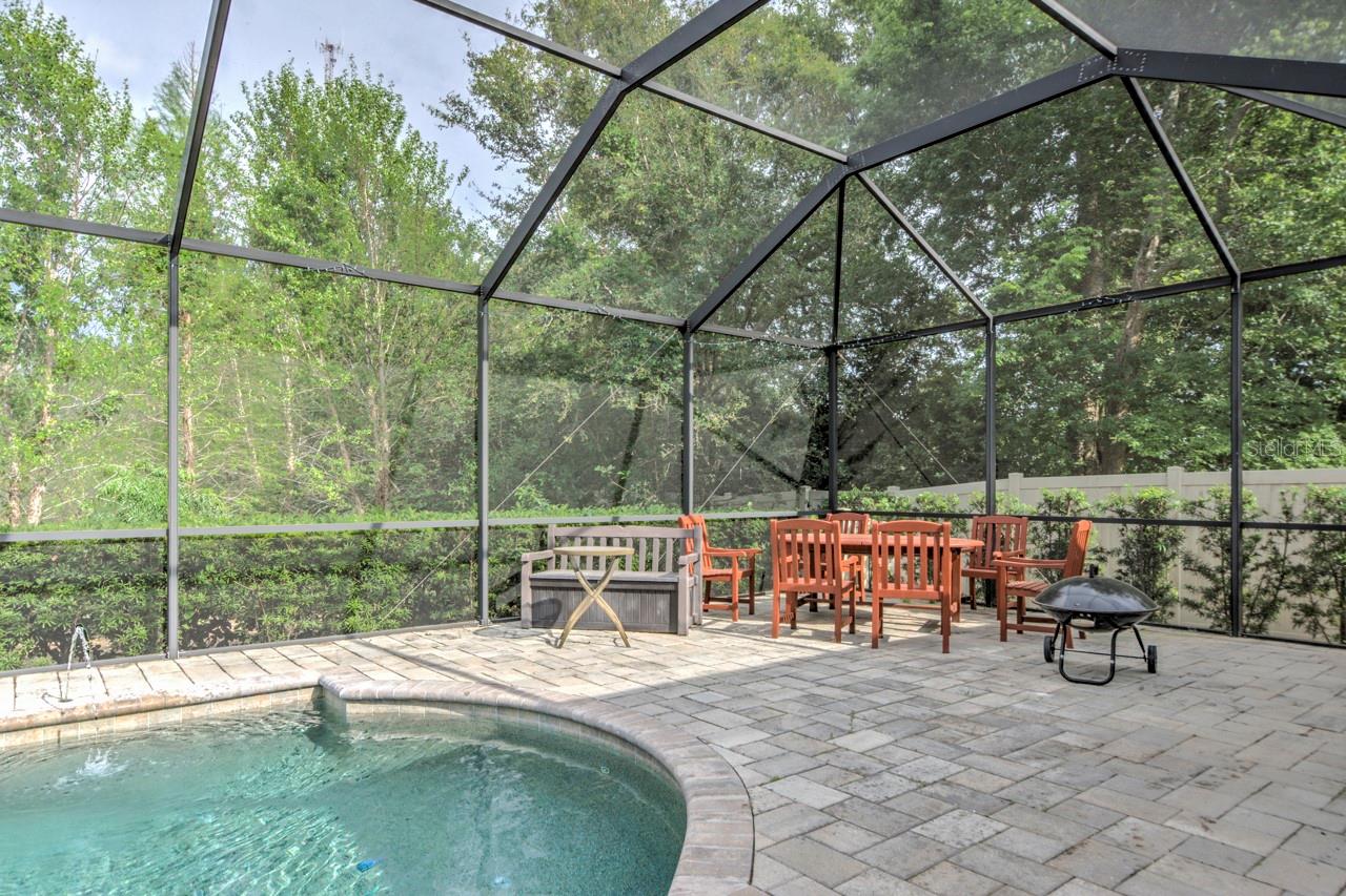 3603 ARBOR CHASE DR, PALM HARBOR, FL, 34683